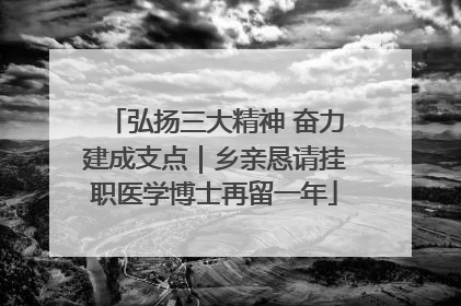 弘扬三大精神 奋力建成支点｜乡亲恳请挂职医学博士再留一年