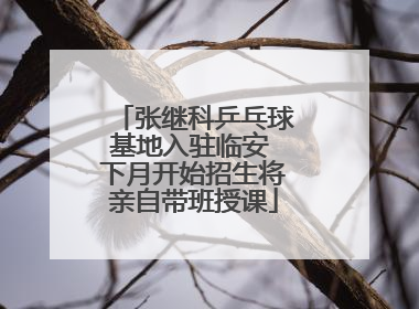 张继科乒乓球基地入驻临安 下月开始招生将亲自带班授课