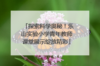 探索科学奥秘！乐山实验小学青年教师课堂展示绽放精彩