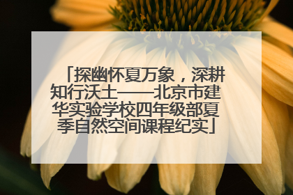 探幽怀夏万象，深耕知行沃土——北京市建华实验学校四年级部夏季自然空间课程纪实