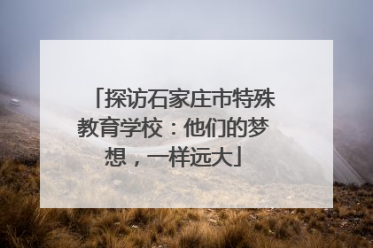 探访石家庄市特殊教育学校：他们的梦想，一样远大