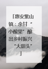 惠安紫山镇：余甘“小酸果”酿出乡村振兴“大甜头”