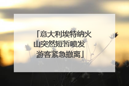 意大利埃特纳火山突然短暂喷发 游客紧急撤离