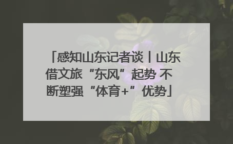 感知山东记者谈丨山东借文旅“东风”起势 不断塑强“体育+”优势