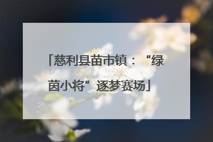 慈利县苗市镇：“绿茵小将”逐梦赛场