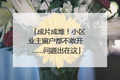 成片成堆！小区业主窗户都不敢开……问题出在这