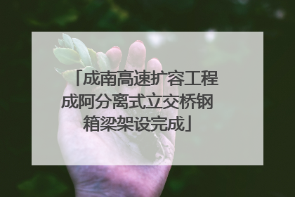 成南高速扩容工程成阿分离式立交桥钢箱梁架设完成