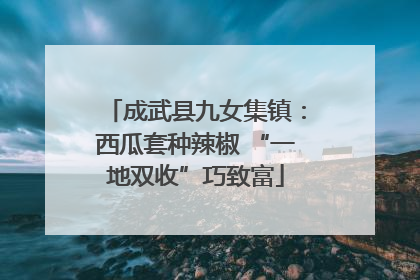 成武县九女集镇：西瓜套种辣椒 “一地双收”巧致富