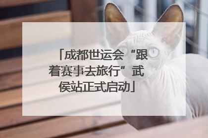 成都世运会“跟着赛事去旅行”武侯站正式启动
