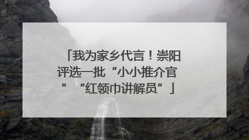 我为家乡代言！崇阳评选一批“小小推介官”“红领巾讲解员”