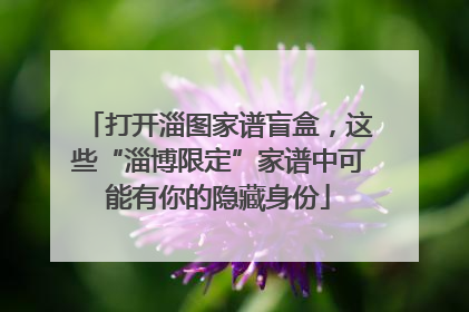 打开淄图家谱盲盒，这些“淄博限定”家谱中可能有你的隐藏身份