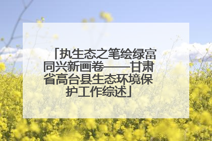 执生态之笔绘绿富同兴新画卷——甘肃省高台县生态环境保护工作综述