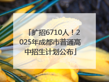 扩招6710人！2025年成都市普通高中招生计划公布