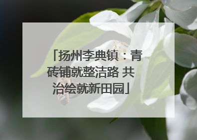 扬州李典镇：青砖铺就整洁路 共治绘就新田园