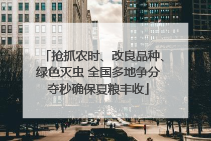 抢抓农时、改良品种、绿色灭虫 全国多地争分夺秒确保夏粮丰收
