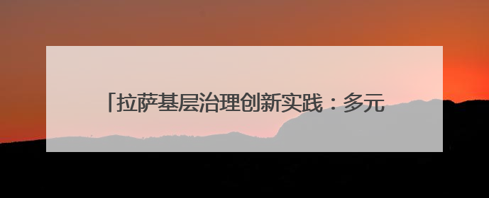 拉萨基层治理创新实践：多元共治激活高原“幸福密码”