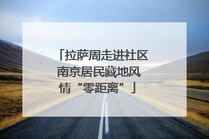 拉萨周走进社区 南京居民藏地风情“零距离”