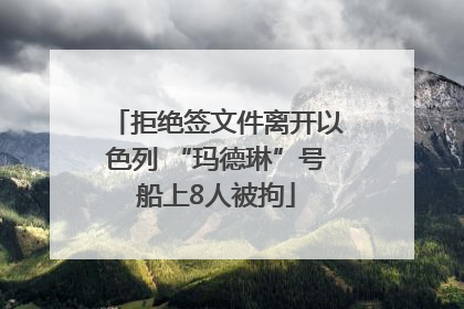 拒绝签文件离开以色列 “玛德琳”号船上8人被拘