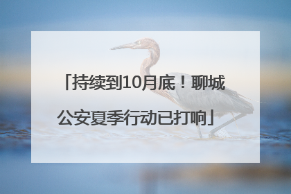 持续到10月底！聊城公安夏季行动已打响