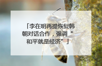 李在明再提恢复韩朝对话合作，强调“和平就是经济”