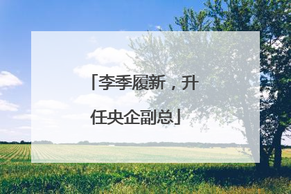 李季履新，升任央企副总