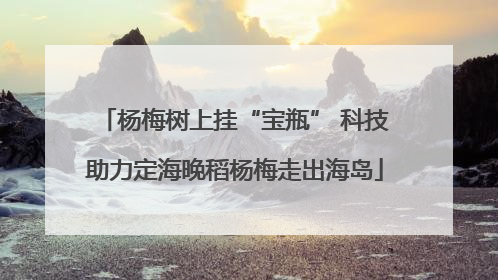 杨梅树上挂“宝瓶” 科技助力定海晚稻杨梅走出海岛