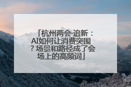 杭州两会·追新：AI如何让消费突围？场景和路径成了会场上的高频词