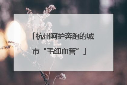 杭州呵护奔跑的城市“毛细血管”