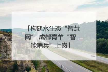 构建水生态“智慧网” 成都青羊“智能哨兵”上岗