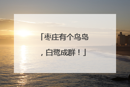 枣庄有个鸟岛，白鹭成群！
