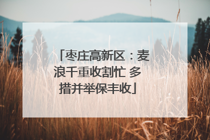 枣庄高新区：麦浪千重收割忙 多措并举保丰收