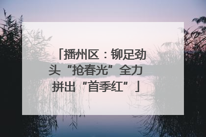 播州区：铆足劲头“抢春光”全力拼出“首季红”