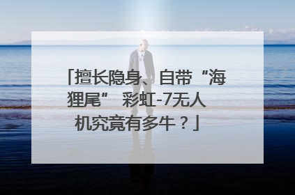擅长隐身、自带“海狸尾” 彩虹-7无人机究竟有多牛？
