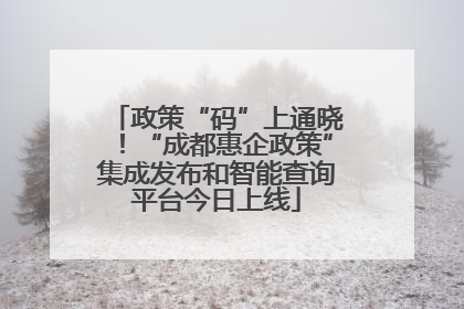 政策“码”上通晓！“成都惠企政策”集成发布和智能查询平台今日上线