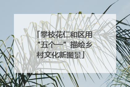 攀枝花仁和区用“五个一”描绘乡村文化新图景