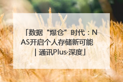 数据“爆仓”时代：NAS开启个人存储新可能｜通讯Plus·深度