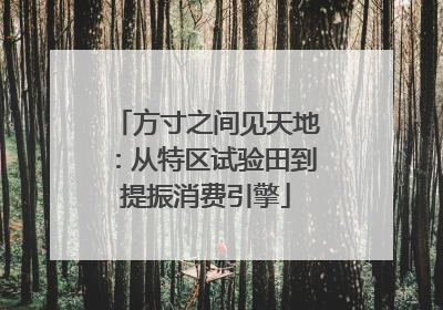 方寸之间见天地：从特区试验田到提振消费引擎