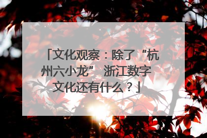 文化观察：除了“杭州六小龙” 浙江数字文化还有什么？