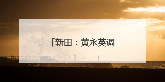 新田：黄永英调研烤烟生产工作