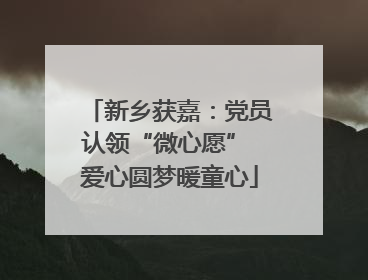 新乡获嘉：党员认领“微心愿” 爱心圆梦暖童心