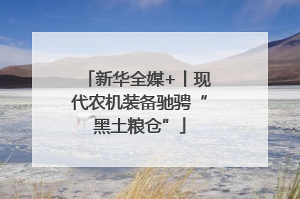 新华全媒+丨现代农机装备驰骋“黑土粮仓”