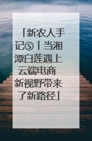 新农人手记⑤丨当湘潭白莲遇上云端电商 新视野带来了新路径