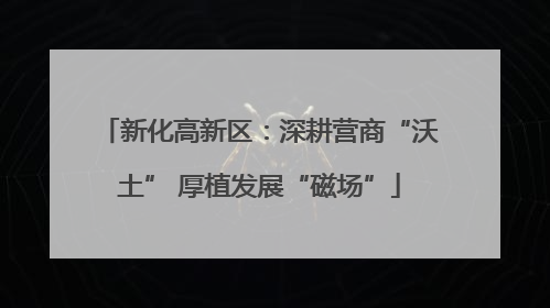 新化高新区：深耕营商“沃土” 厚植发展“磁场”
