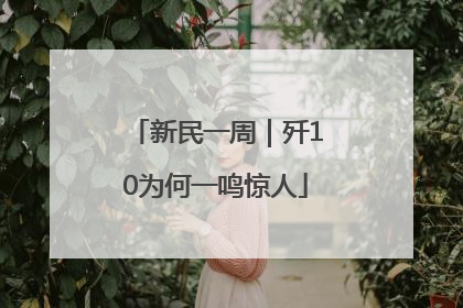 新民一周｜歼10为何一鸣惊人