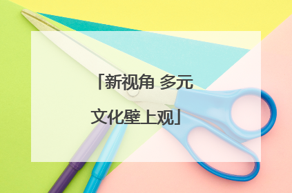 新视角 多元文化壁上观
