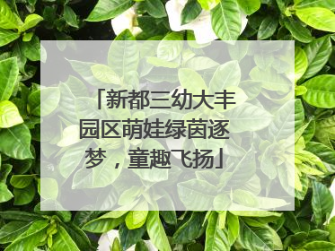 新都三幼大丰园区萌娃绿茵逐梦，童趣飞扬