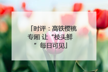 时评：高铁樱桃专厢 让“枝头鲜”每日可见