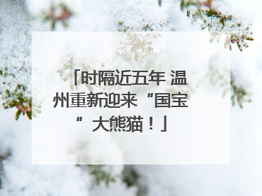 时隔近五年 温州重新迎来“国宝”大熊猫！