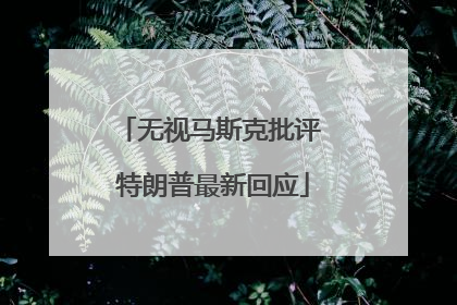 无视马斯克批评 特朗普最新回应