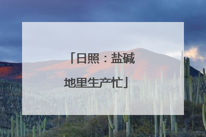 日照：盐碱地里生产忙